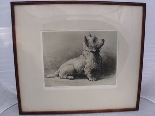 superb original 1930 signed herbert dicksee etching west highland terrier