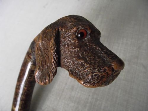 victorian carved dogs head walking stick
